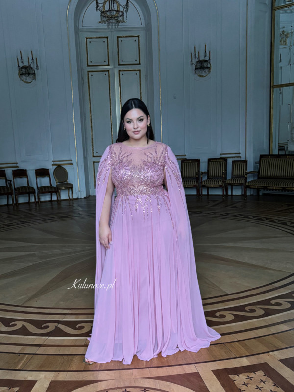 Amara - embellished maxi dress in pink with long chiffon sleeves