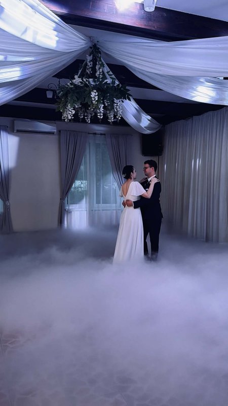 Kylie - simple wedding dress with short chiffon sleeves