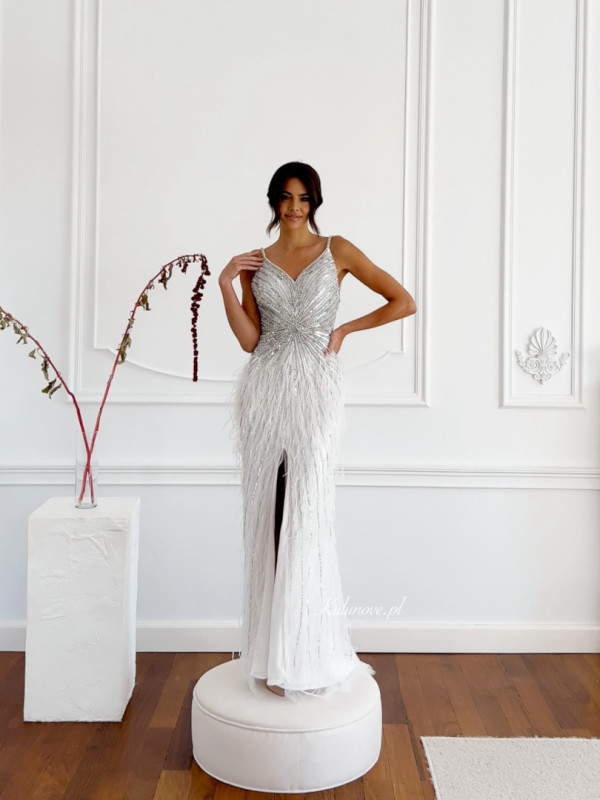 Midnight- richly embellished dress in silver and white color